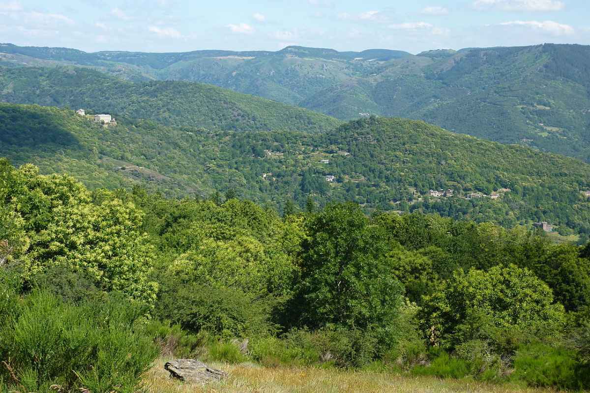 Les Causses et les Cévennes